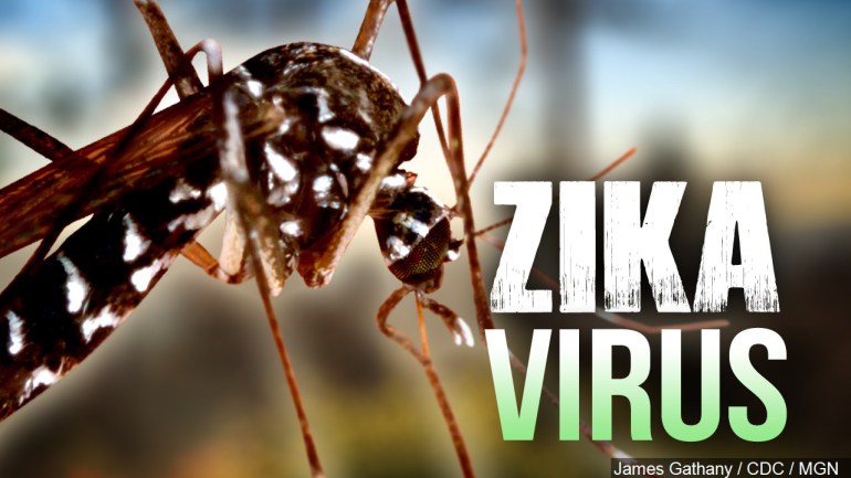 6.6.Zika Virus.1280x720_60120c00-rialm